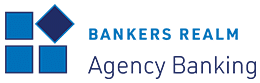 bankersrealm-br-agency-banking