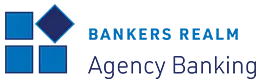 bankersrealm-br-agency-banking